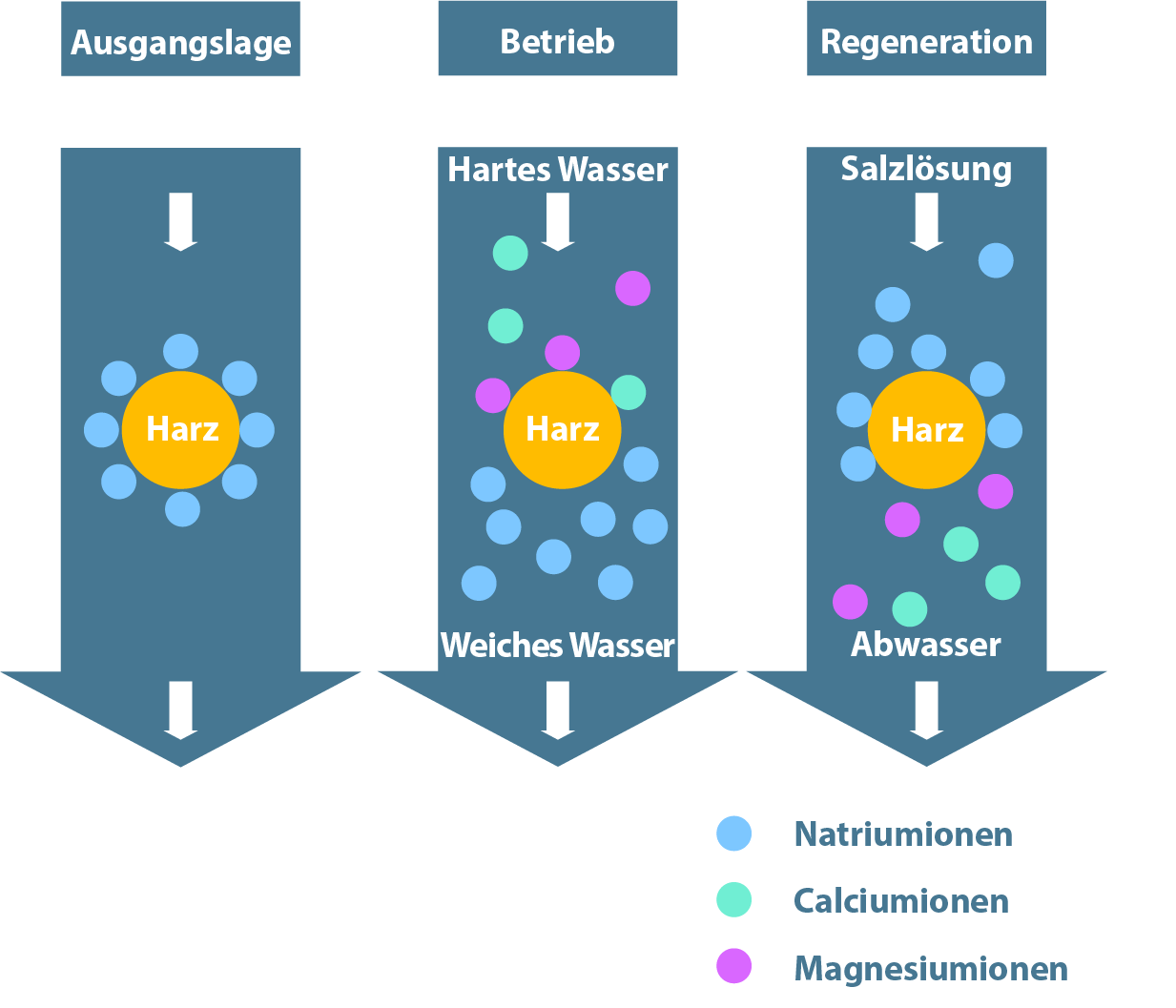 Sematische Darstellung von Prozessen in einer Harzpatrone. Die Regeneration einer Harzpatrone, also die Wiederherstellung ihrer Funktion als Ionenaustauscher, ist ein Prozess, der bei erschöpften Ionenaustauscherharzen angewendet wird.